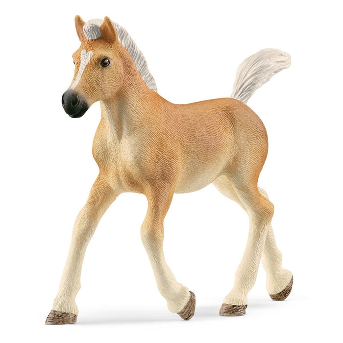 EAN 4059433557519 - schleich HORSE CLUB 13951 figura de juguete para niños imagen 1