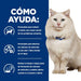 EAN 52742284408 - Hills 605948 comida húmeda para gatos 8 kg imagen 3