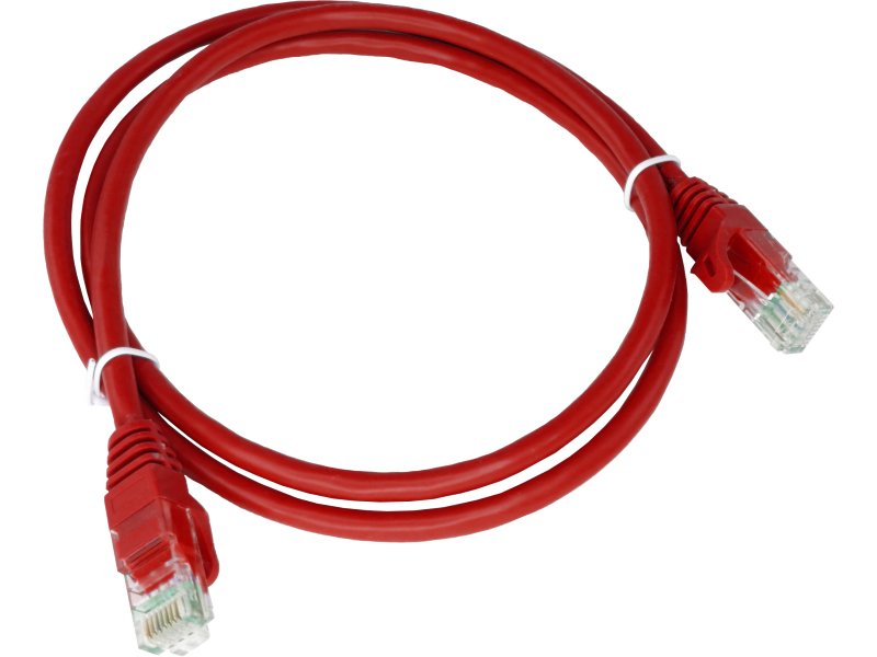 EAN 5901738558564 - Alantec KKU5CZE0.25 cable de red Rojo 0,25 m Cat5e U/UTP (UTP) imagen 1