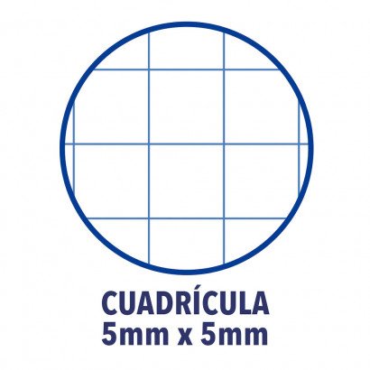 EAN 8412771083014 - Oxford Europeanbook 1 cuaderno y block A4 80 hojas Amarillo imagen 3