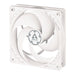 EAN 4895213702263 - ARCTIC P12 PWM PST Carcasa del ordenador Ventilador 12 cm Blanco imagen 1