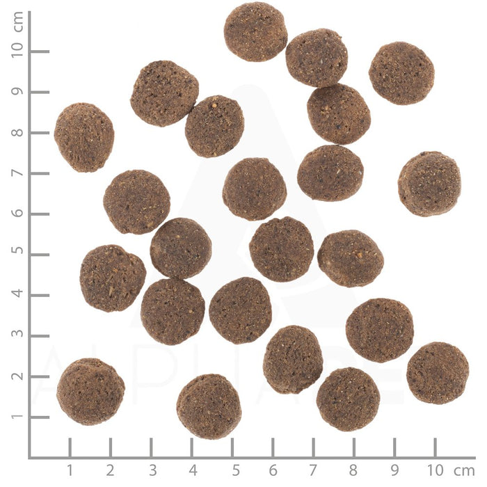 EAN 4260603786473 - Wolfsblut VetLine Hypoallergenic 12 kg Adulto Cabello imagen 3