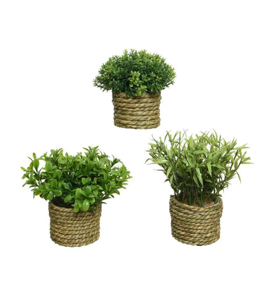 EAN 8718533571585 - Kaemingk 000993380 no categorizado imagen 2