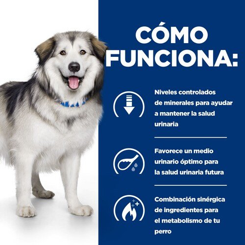 EAN 52742037394 - Hills 605852 alimento húmedo para perros Ternera Universal 12 kg imagen 4