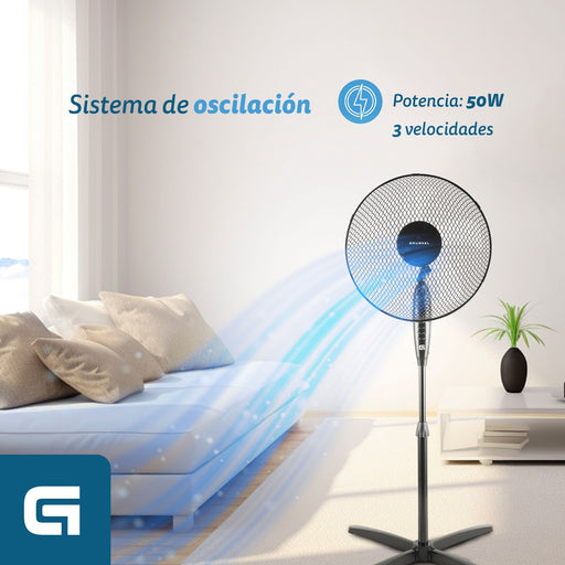 EAN 8426156018119 - Grunkel FAN-165XNG ventilador Negro imagen 2