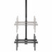 EAN 0065030880671 - StarTech.com FPCEILBTB soporte para pantalla de señalización 190,5 cm (75") Negro imagen 4