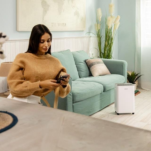 EAN 8435484083140 - Cecotec BigDry 8000 2 L 17,5 dB 450 W Blanco imagen 8