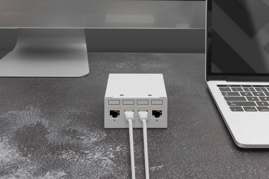 EAN 4016032490562 - Digitus DN-93615-4 módulo de conector de red imagen 2