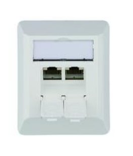 EAN 4018359396589 - Telegärtner J00023A0204 toma de corriente RJ-45 Blanco imagen 1
