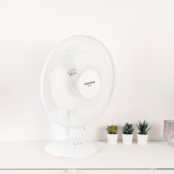 EAN 8414234446817 - Taurus GRECO 16 Blanco imagen 4