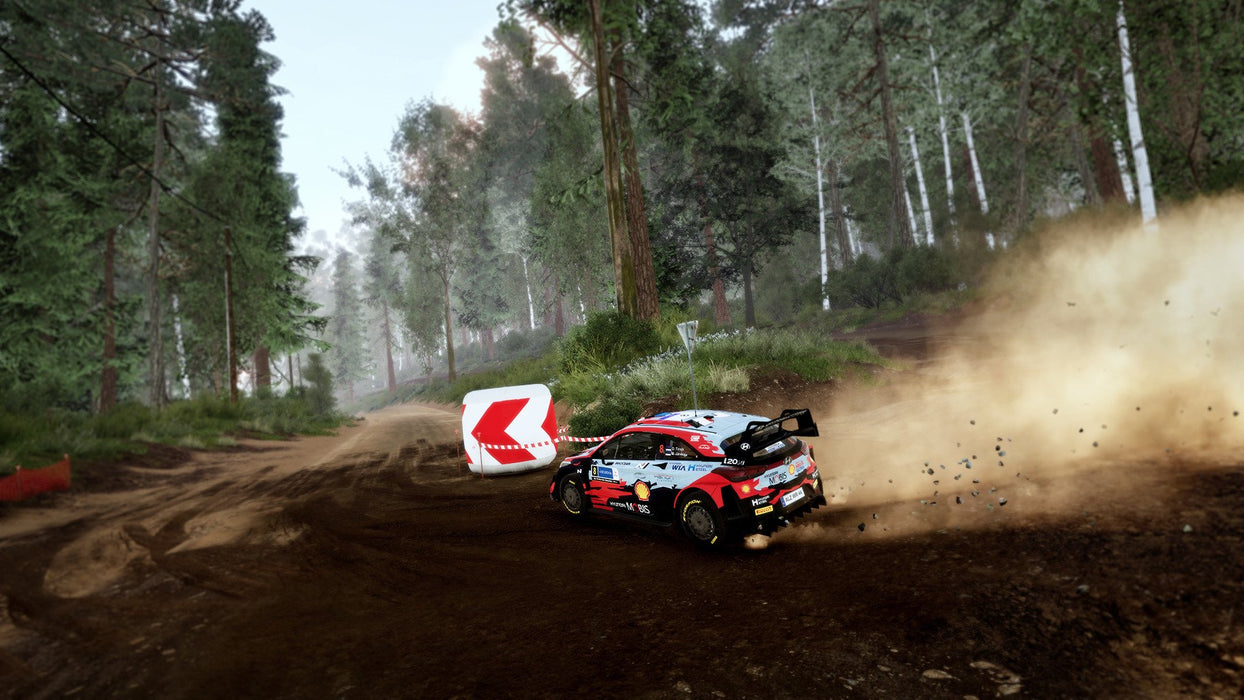 EAN 3665962009606 - NACON WRC 10 (PS5) Estándar Plurilingüe PlayStation 5 imagen 6