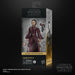 EAN 5010996226105 - Star Wars The Black Series Padmé Amidala imagen 10