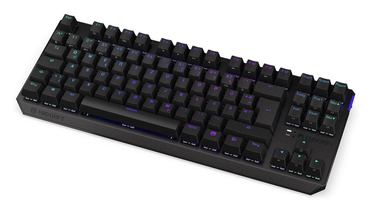 EAN 5903018666808 - ENDORFY Thock TKL teclado Juego RF inalámbrica + USB QWERTZ Alemán Negro imagen 1