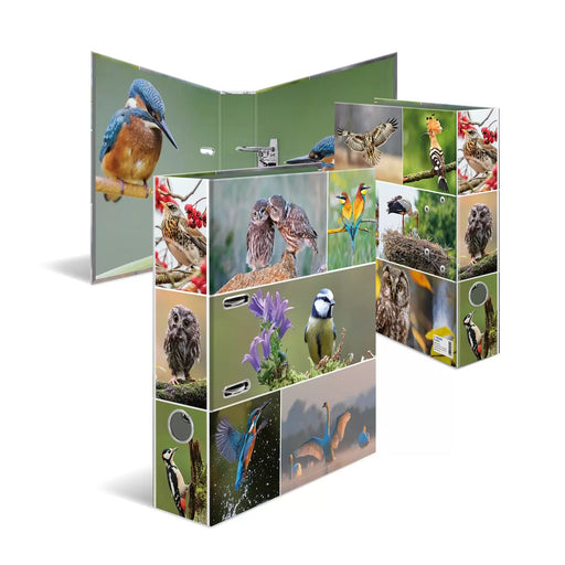 EAN 4008705192545 - HERMA 19254 carpeta de cartón A4 Multicolor imagen 1