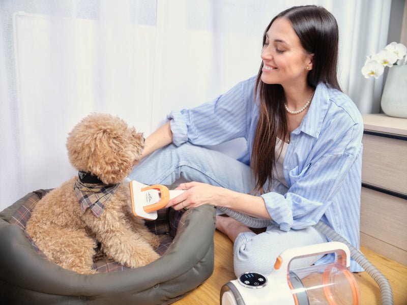 EAN 8590393366453 - Eta PetMaster Gato / Perro Aspiradora + cortadora de pelo imagen 17