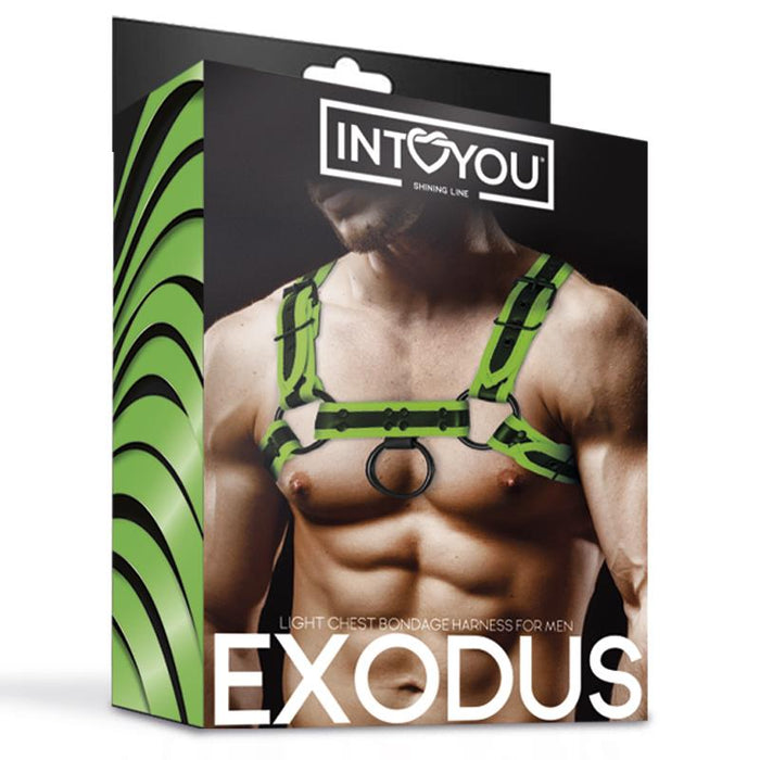 Arnés Bondage Para Pecho Que Brilla En La Oscuridad