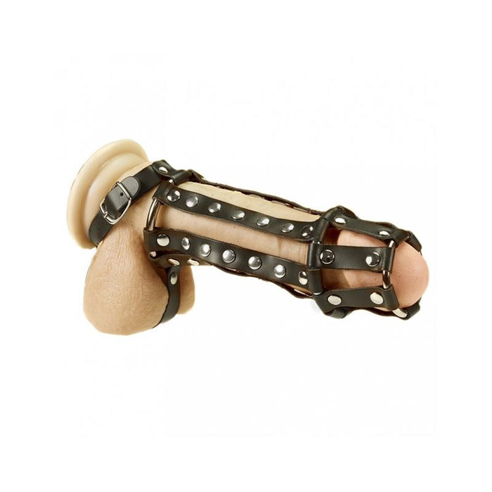 Arnés Completo Para Pene Y Testículos Talla (Interno):S/M