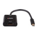 EAN 4002888432696 - Lindy 43269 Adaptador gráfico USB 3840 x 2160 Pixeles Negro imagen 2