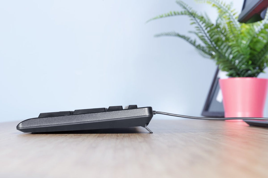 EAN 8713439241426 - Trust Primo teclado Oficina USB Portugués Negro imagen 5