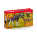 EAN 4059433654058 - schleich Vida Salvaje 42629 figura de juguete para niños imagen 6