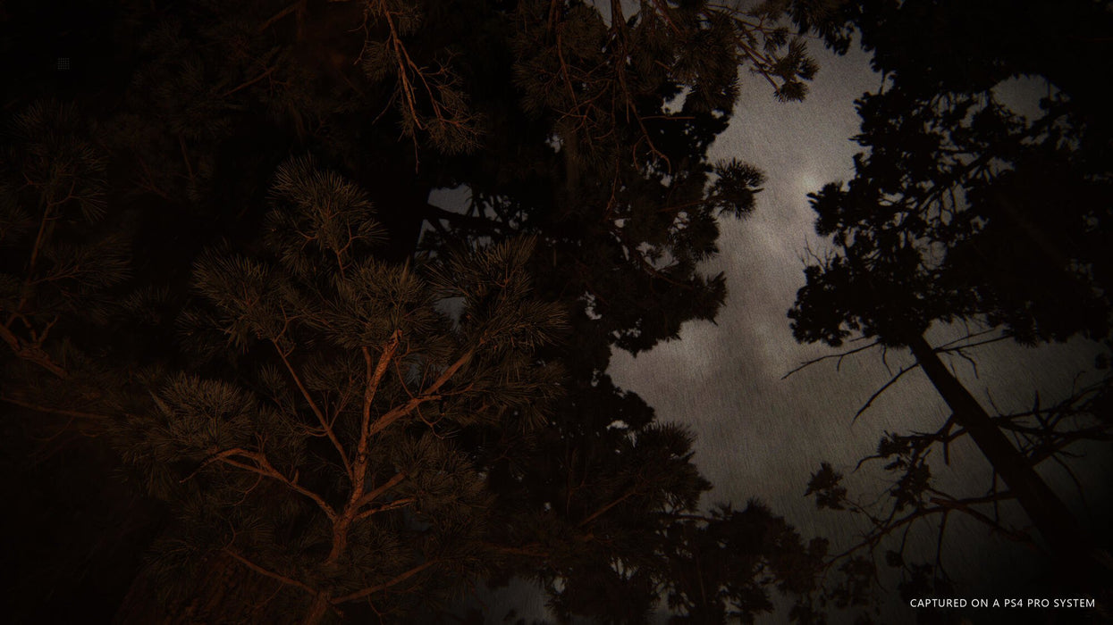 EAN 0711719330806 - Sony Interactive Entertainment The Last of Us Part II Estándar PlayStation 4 imagen 14