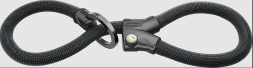 EAN 4003318381140 - ABUS 1806/110 Negro 1100 mm Candado con cadena imagen 1