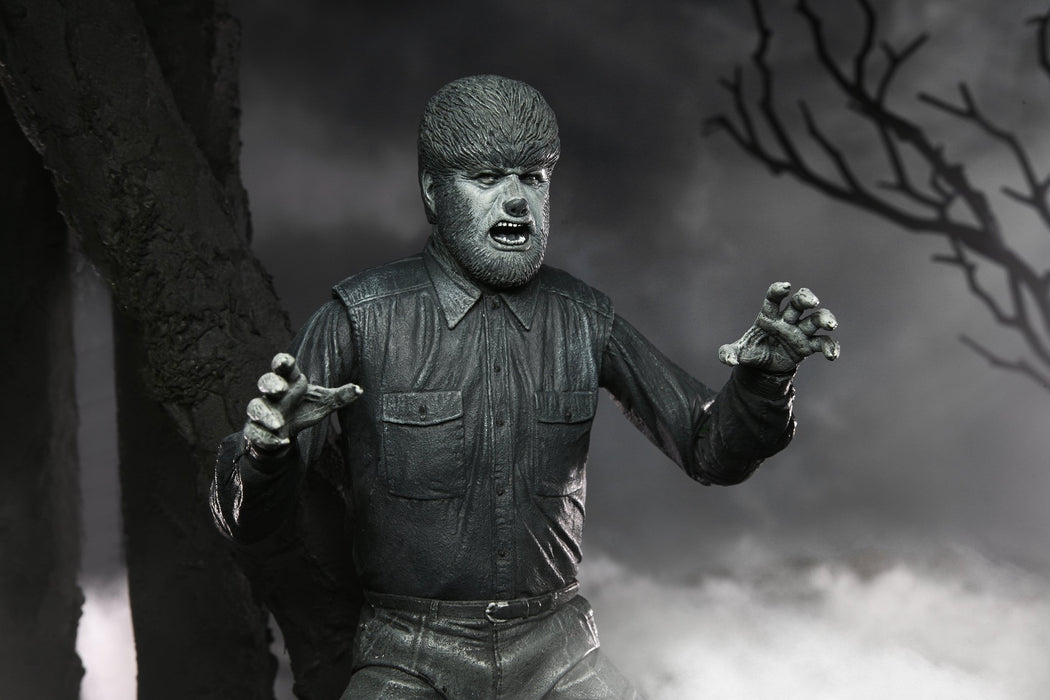 EAN 0634482048108 - NECA Ultimate Wolf Man (Black & White) imagen 10