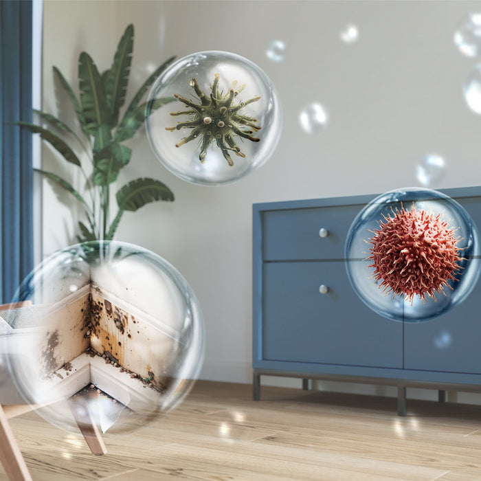 EAN 8720389057625 - Philips 5000 series DE5305/11 deshumidificador 4 L 54 dB Gris imagen 4