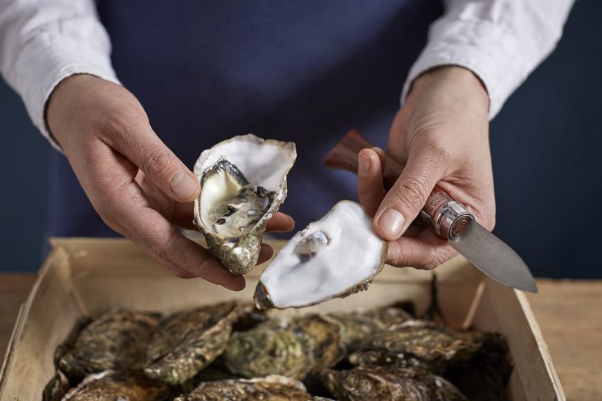 EAN 3123840016165 - Opinel N°09 Sunfish Rojo imagen 3