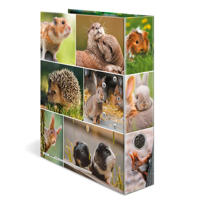 EAN 4008705192521 - HERMA 19252 carpeta de cartón A4 Multicolor imagen 4