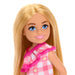 EAN 0194735234615 - Barbie Chelsea HXM95 muñeca imagen 2