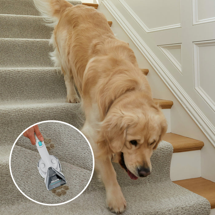 EAN 0622356294638 - Shark PX200EUT máquina de limpieza de alfombras De mano Profundo / interina Blanco imagen 9