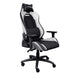 EAN 8713439250657 - Trust GXT 714 RUYA Silla para videojuegos universal Negro, Blanco imagen 1