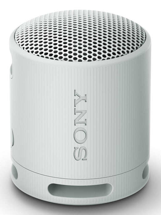 EAN 4548736146136 - Sony SRS-XB100 Altavoz monofónico portátil Gris imagen 1