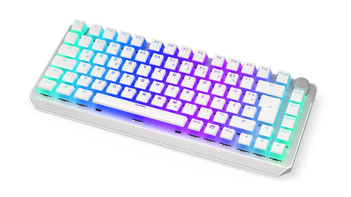 EAN 5903018666860 - ENDORFY Thock 75% teclado Juego RF inalámbrica + USB QWERTZ Alemán Blanco imagen 1