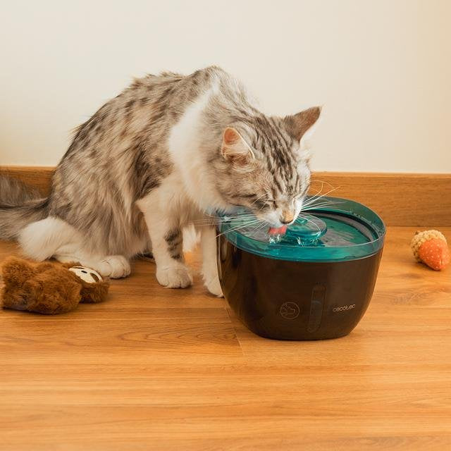 EAN 8435484095617 - Cecotec Pumba 2200 Refresh comedero y bebedero para perro y gato Plástico Negro, Azul Universal Bebedero  imagen 5