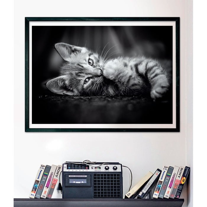 EAN 8005125399505 - Clementoni High Quality Collection 39950 puzzle Puzzle rompecabezas 1000 pieza(s) Animales imagen 3