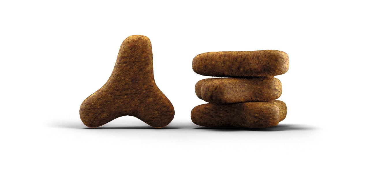 EAN 4032254749882 - Josera Naturelle alimento seco para gatos 10 kg Adulto Zanahoria, Aves, Batata imagen 2