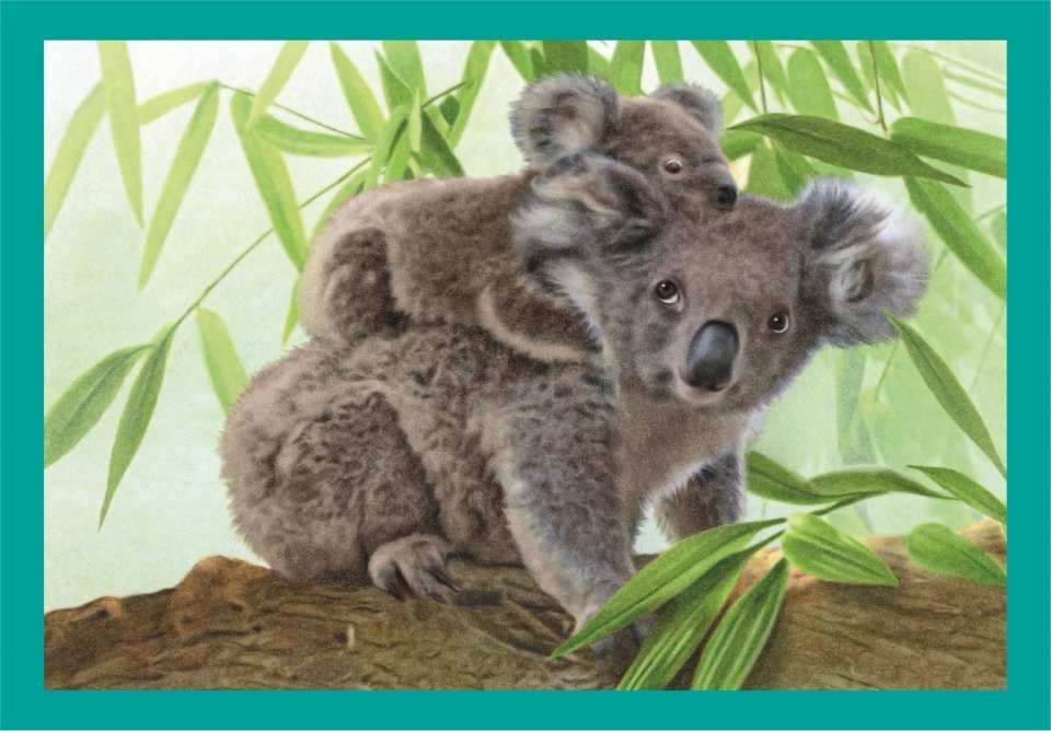 EAN 8005125215324 - Clementoni 21532 sonajero imagen 5