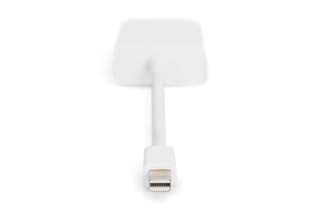 EAN 4016032289579 - Digitus AK-340406-001-W adaptador de cable de vídeo 0,15 m Mini DisplayPort DVI-D Blanco imagen 3