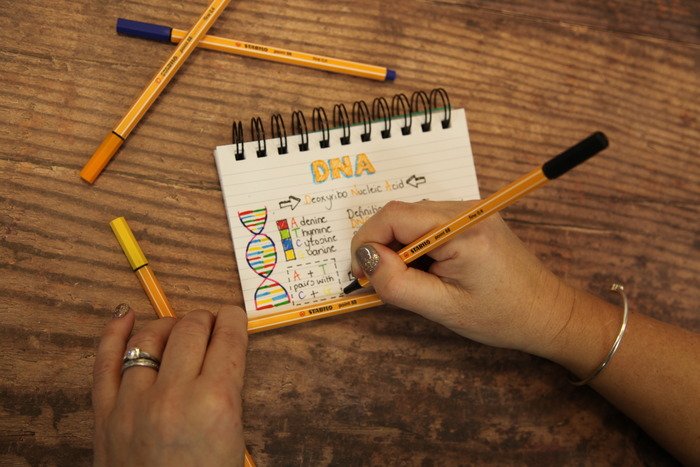 EAN 4006381292375 - STABILO point 88 rotulador de punta fina Marrón 1 pieza(s) imagen 10