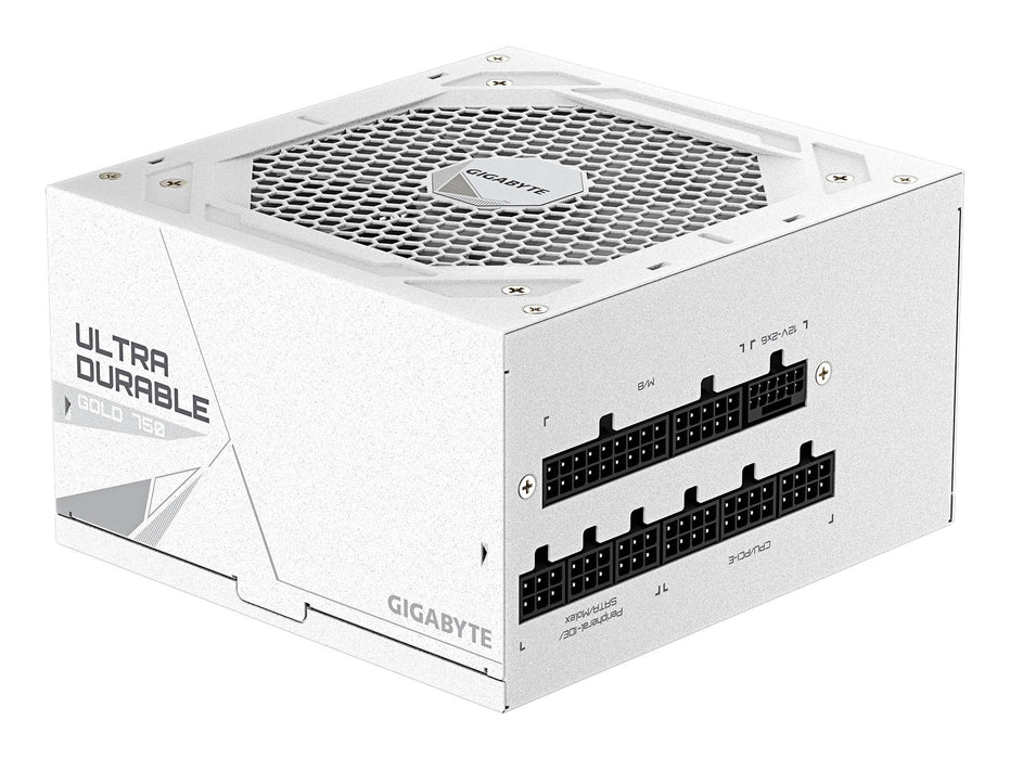 EAN 4719331556310 - GIGABYTE UD750GM PG5 V2 ICE unidad de fuente de alimentación 750 W 20+4 pin ATX Blanco imagen 5