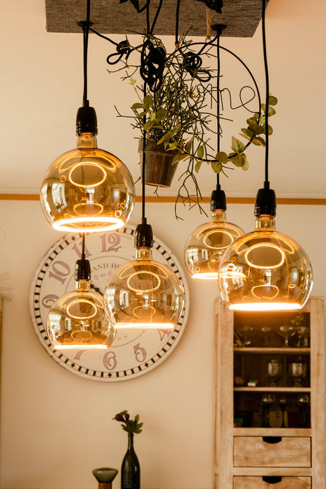 EAN 4260751130586 - Segula 55058 lámpara LED Blanco cálido 1900 K 6 W E27 imagen 5