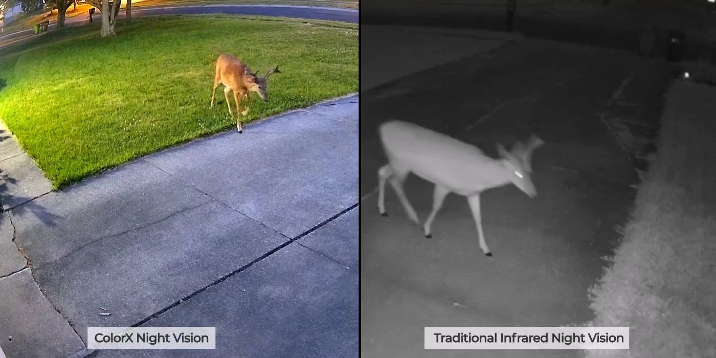 EAN 6975253983872 - Reolink W320X cámara de vigilancia Bala (forma) Cámara de seguridad IP Exterior 2560 x 1440 Pixeles Pared imagen 2