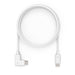 EAN 0819472023758 - Compulocks 6FTALLUSBC cable USB USB 2.0 0,6 m USB C Blanco imagen 1