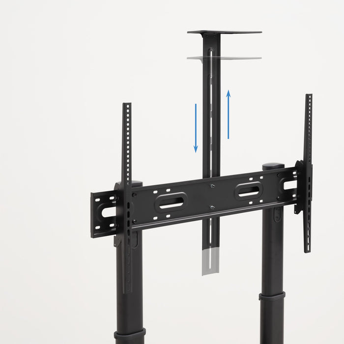 EAN 8433281014855 - TooQ Narnia 2,54 m (100") imagen 6