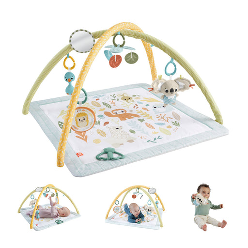 EAN 0194735171385 - Fisher-Price HRB15 gimnasio para bebé y tapete de juego Tela, Plástico Multicolor Gimnasio para bebés imagen 1