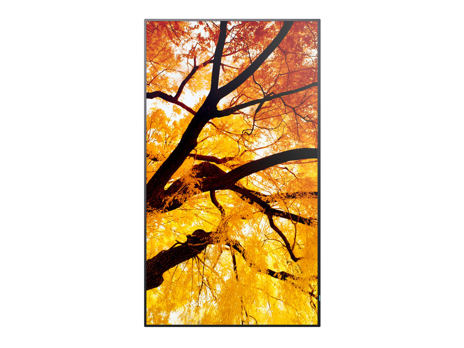 EAN 4550556176644 - Sharp MultiSync PN-M752 189,2 cm (74.5") LED 550 cd / m² 4K Ultra HD Negro 24/7 imagen 10