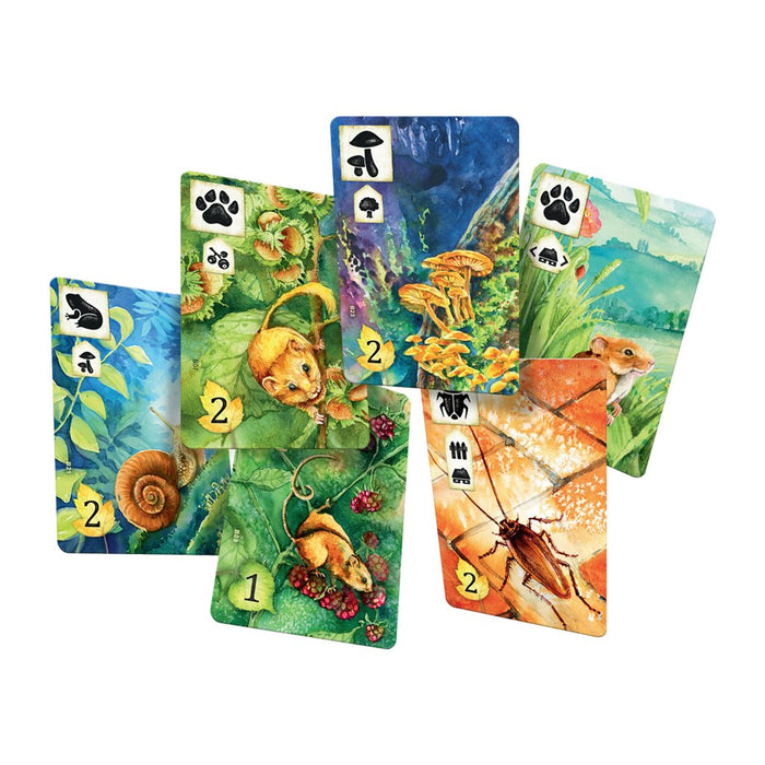 EAN 8435407635913 - Asmodee Pradera 90 min Juego de mesa imagen 4