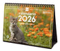 EAN 8422952402268 - Finocam 780323826 calendario Mesa imagen 1